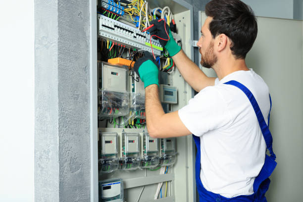 Best Electrical System Inspection  in Sigourney, IA